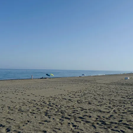 Trh Paraiso-2