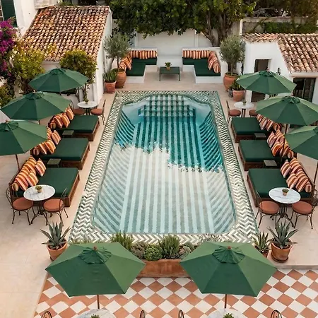 Bv House - Membersclub - Adult Only-3